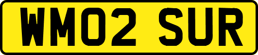 WM02SUR