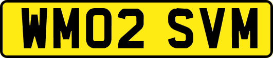 WM02SVM