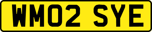WM02SYE