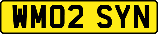 WM02SYN