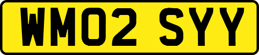 WM02SYY