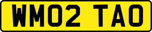 WM02TAO
