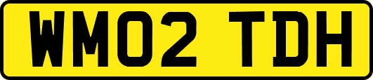 WM02TDH