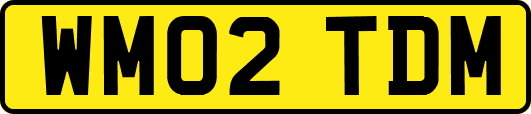 WM02TDM