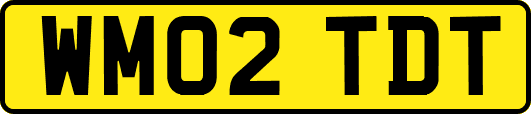 WM02TDT