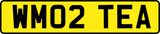 WM02TEA