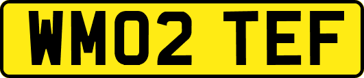 WM02TEF