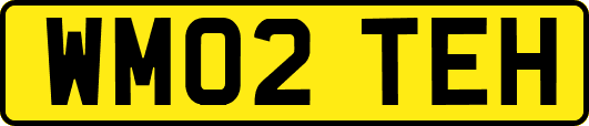 WM02TEH
