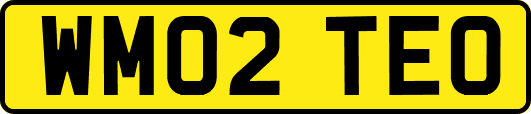 WM02TEO