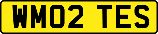 WM02TES