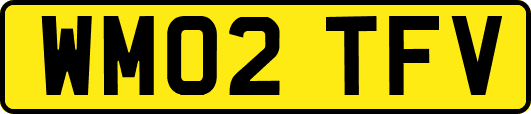 WM02TFV