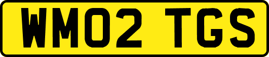 WM02TGS