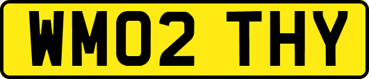 WM02THY