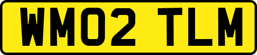 WM02TLM