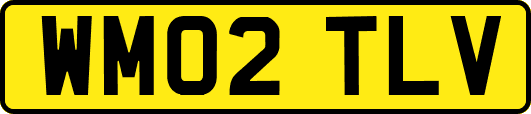 WM02TLV