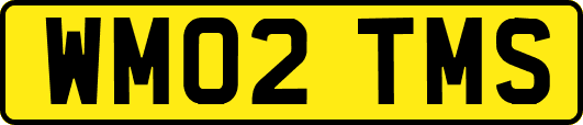 WM02TMS
