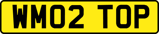 WM02TOP