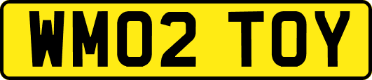 WM02TOY