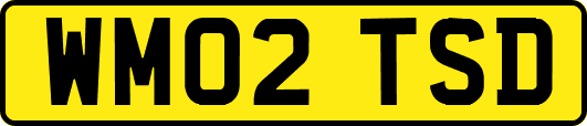 WM02TSD