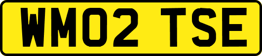 WM02TSE