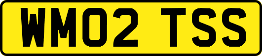 WM02TSS