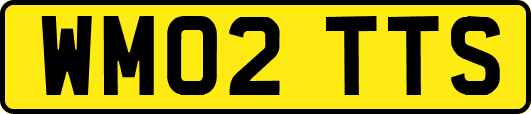 WM02TTS
