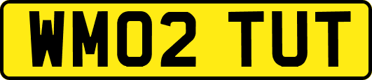 WM02TUT