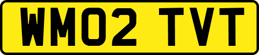 WM02TVT