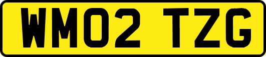 WM02TZG