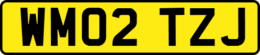 WM02TZJ