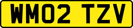WM02TZV