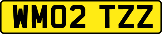WM02TZZ