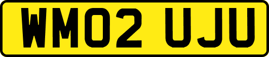 WM02UJU