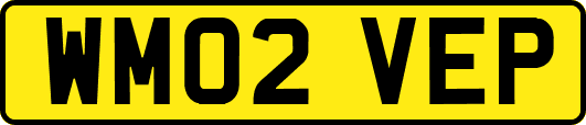 WM02VEP