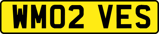 WM02VES