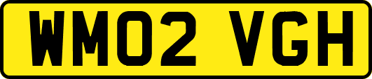 WM02VGH