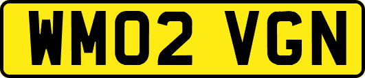 WM02VGN