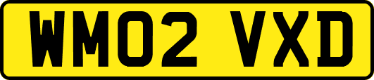 WM02VXD