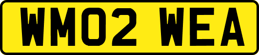WM02WEA