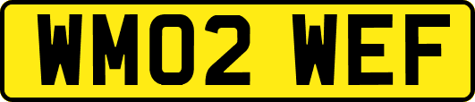WM02WEF