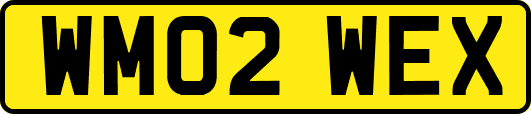 WM02WEX