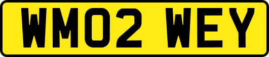 WM02WEY