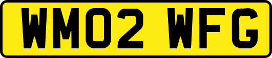 WM02WFG