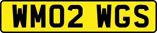 WM02WGS