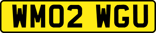 WM02WGU