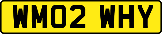 WM02WHY