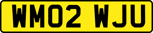 WM02WJU
