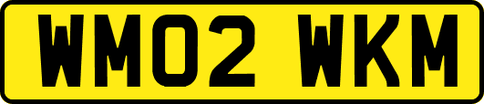 WM02WKM