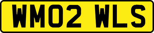 WM02WLS