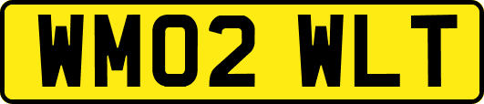 WM02WLT